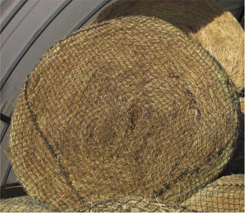 round bale hay net
