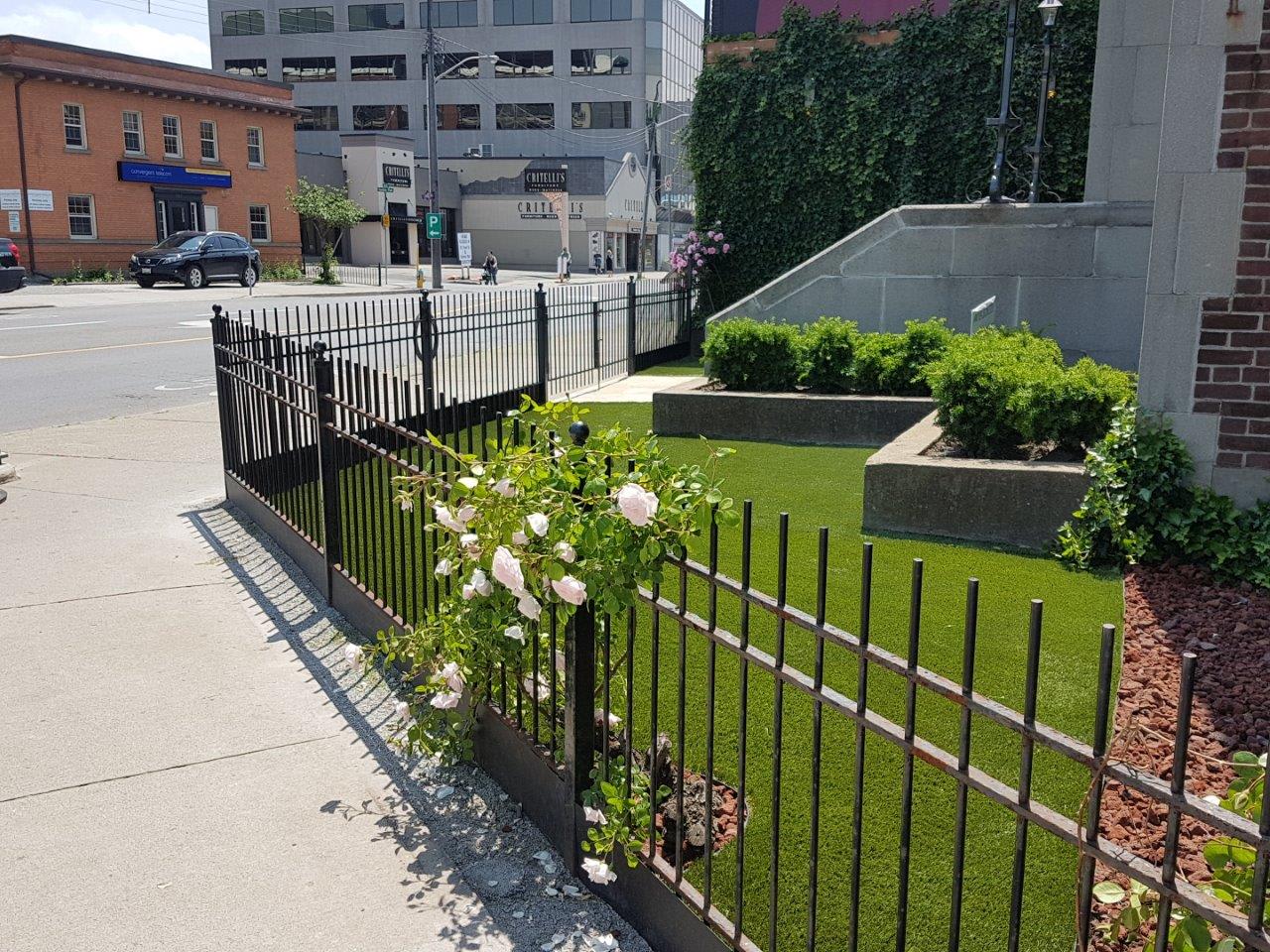 side view of commercial property landscape turf