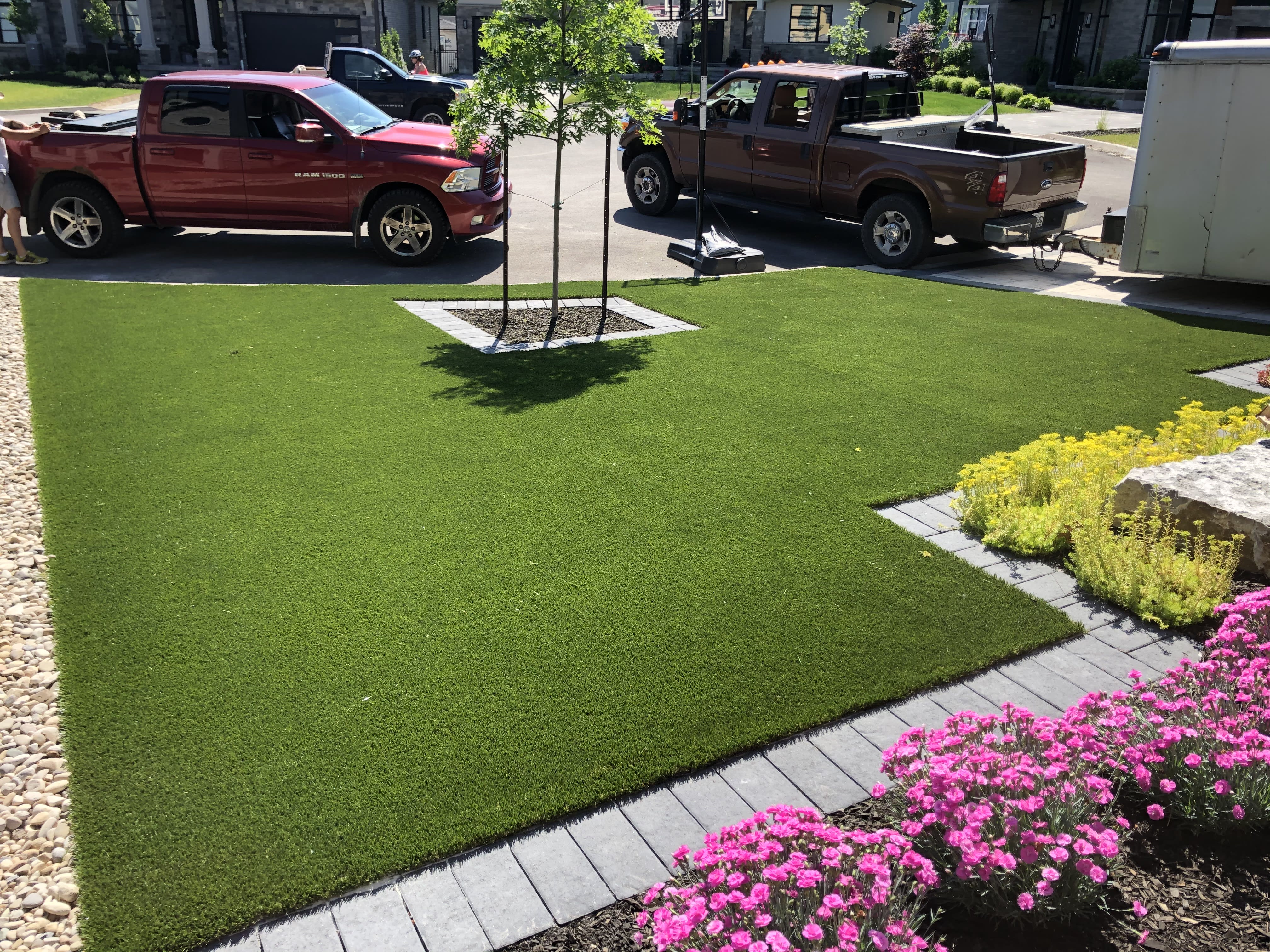 residential landscape turf