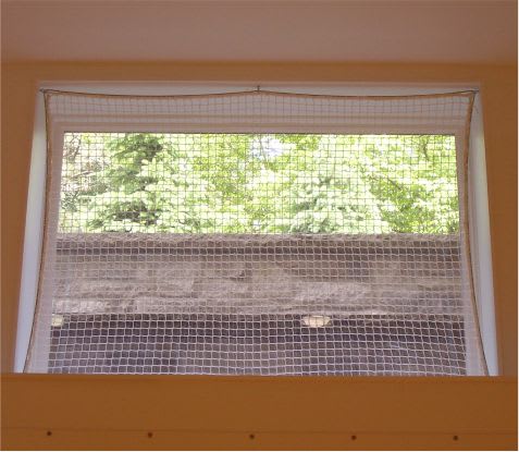 impact web on basement window
